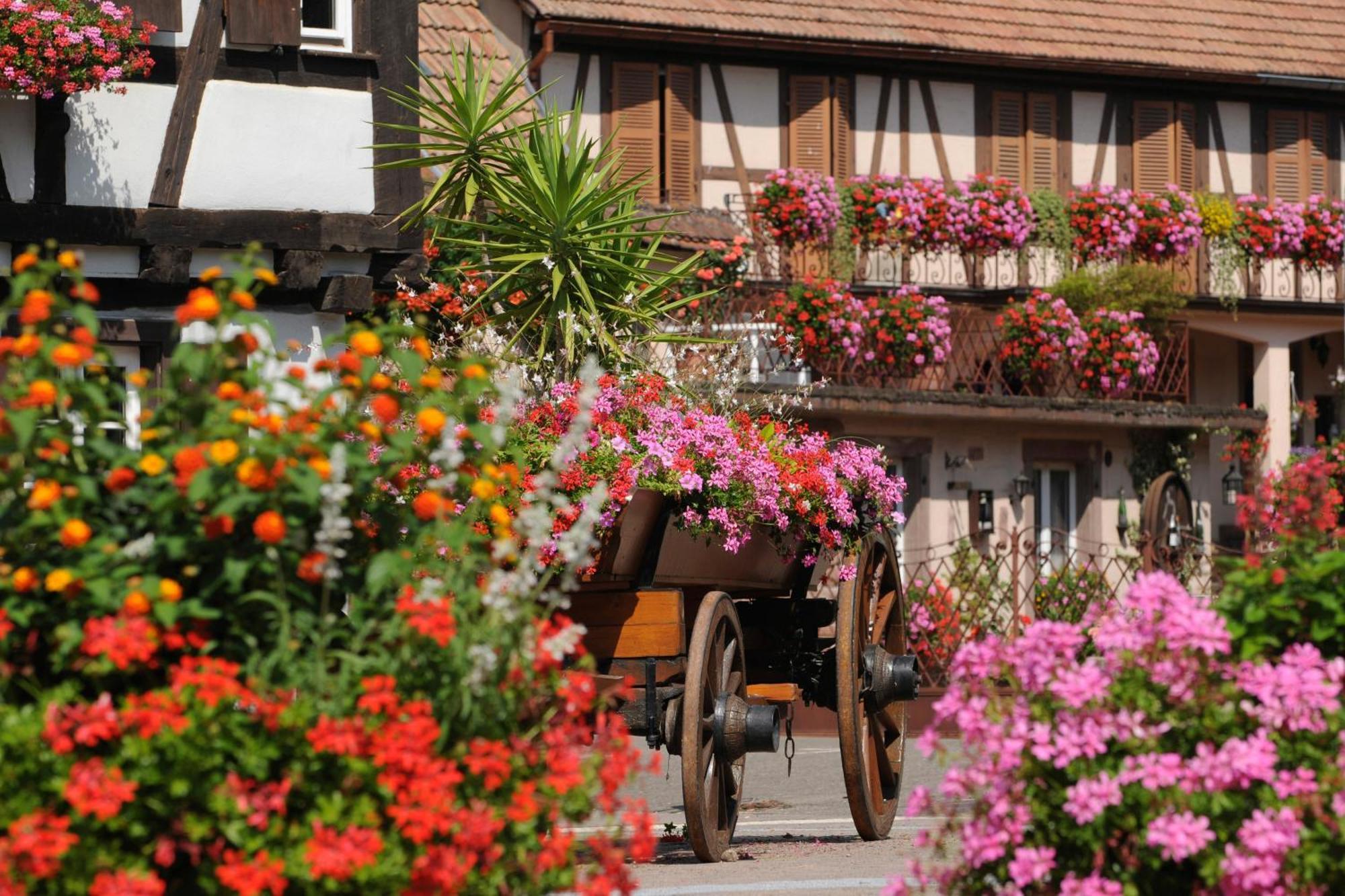 Gite Jeanne Familial - Calme - Parking Ebersheim Exteriör bild